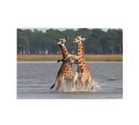 Jigsaw Puzzles1000 Pezzi Yyhwhjde Due Giraffe Combattenti Stampe Educative Intellettuali Puzzle in legno, Divertenti Puzzle, Gioco antistress