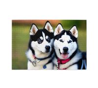 Jigsaw Puzzles1000 Pezzi Yyhwhjde Husky Cani Immagine Educativa Intellettuale Puzzle in legno, Divertenti Puzzle, Stress Alleviare Puzzle