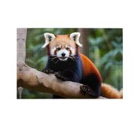 Jigsaw Puzzles1000 Pezzi Yyhwhjde Red Panda Immagine Educativo Intellettuale Puzzle in legno, Divertenti Puzzle, Stress Alleviare Puzzle