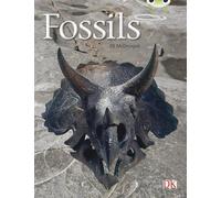 Jill McDougall Bug Club Guided Non Fiction Year Two Gold A Fossils (Tascabile)