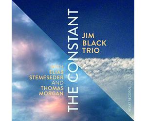 Jim Black Trio - Constant