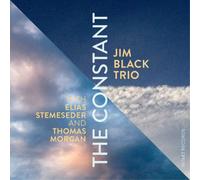 Jim Black Trio - Constant