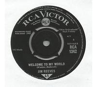 JIM REEVES - i guess i'm crazy / welcome to my world