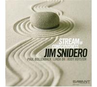 Jim Snidero Stream of Consciousness (CD) Album