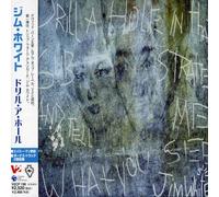 Jim White - Drill a Hole in That Substrate