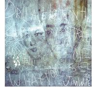 Jim White Drill a Hole in That Substrate and Tell Me What You See (Vinyl LP)