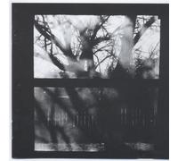 Jim Yoshii Pile Up - It's Winter Here