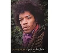 Jimi Hendrix - Hear My Train a Comin'
