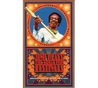 Jimi Hendrix - Jimi plays the great Pop Festival