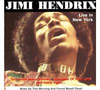 Jimi Hendrix - Live In New York : Woke Up This Morning...