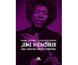 Jimi Hendrix. Una foschia rosso porpora - Shapiro Harry, Glebb aesar