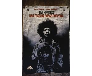 Jimi Hendrix. Una foschia rosso porpora - Shapiro Harry, Glebb aesar