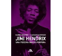 Jimi Hendrix. Una foschia rosso porpora - Shapiro Harry, Glebb aesar