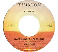 Jimi Tenor - Gaia Sunset