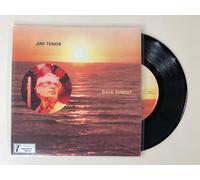 Jimi Tenor - Gaia Sunset