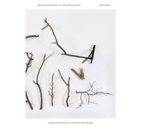 Jimmie Durham: A Stick in the Forest by the Side of the Road: Vol 1-12