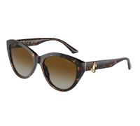 Jimmy Choo Donna JC5007 5002T5 Occhiali da sole Acetato Havana Marrone Pantos Polarizzata Sfumato
