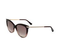 Jimmy Choo Brown Acetate Sunglasses