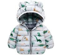 JinBei Cappotto Piumino per Bambini, Giacca Invernale con Cappuccio Dinosauro Grigio Giubbotti, Bambino Leggero Carino Imbottito Cappotti Autunno Giacche Neve Ragazzi Capispalla 4-5 Anni