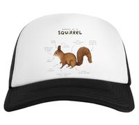 Jinbetee Anatomia di Uno Scoiattolo Baseball Bianco White Baseball cap Unisex Snapback