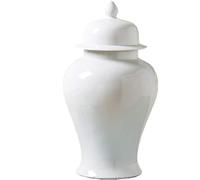 Jingdezhen Vaso classico in porcellana blu e bianca con vaso di zenzero floreale in porcellana, con coperchio vaso per ufficio o arredamento per la casa,S