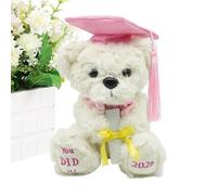 Jingmiger Peluche a forma di orso finale, per laurea, orso per laureati nel 2026, per asilo, scuola elementare, scuola secondaria, università, lauree, feste di laurea
