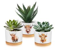 Jingmore 3 fioriere in ceramica a forma di mucca delle Highland, colore neutro, vassoi in bambù inclusi, 6,3 x 8,9 cm, uso interno, regalo per donne, decorazioni per case agricole