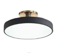 JingNian Lampada da Soffitto LED Rotonda Moderna, Plafoniera Dimmerabile in Stile Nordico con Luce Morbida, Installazione a Incasso, per Soggiorno Cucina Bagno Camera da Letto(Black,40cm)