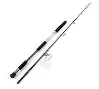 JINGYAN Canne da pesca Quality Boat Fishing Rod Big Drag Power Ocean