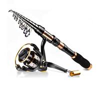 JINGYAN Canne da pesca Telescopic Fishing Rod and Spinning Reel Combo Set with Line Lures Kit Accessories Suitable for Men Women Beginners(3.0M)