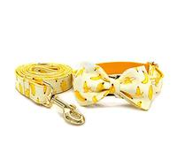 JINGYAN Guinzagli per Cani Free Engrave Personalized Banana Design Bow Dog Collar Leash Traction Rope for Small Big Adjustable Pet Straps Fruit 02
