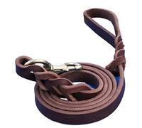 JINGYAN Guinzagli per Cani Large Dog Leash Walking Training Lead Braided Real Leather Pet Traction Rope Competition German Shepherd Labrador Dogs