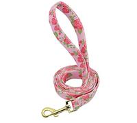 JINGYAN Guinzagli per Cani Popular Flower Pattern Dog Leash with Gold Metal Buckle for Small Medium Dog Nylon 150cm Printed Lead Puppy Walking Leash