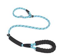 JINGYAN Guinzaglio per Cani Dog Training Leash 5 Color Nylon Basic Rope Medium Large Dogs Walking Big Collar Durable Easy to Control Adjustable Labrador
