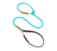 JINGYAN Guinzaglio per Cani Nylon Dog Leash, Adjustable Multifunctional Leash/P Leash with Leather Handle Strong And Durable for Dog Walking And Training