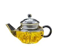 JINGYAN Teiere Heat Resistant Glass Teapot Kung Fu Tea Set Flower Pot Transparent Filter Liner High Temperature Small Size