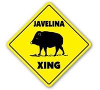 JINKAIRUI - Cartello quadrato in metallo con giavelina che attraversa la pecceria, per casa, ufficio, bar, decorazione da parete per interni ed esterni, cartello quadrato 8 x 8