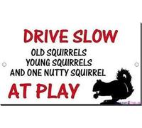 JINKAIRUI Cartello stradale di avvertimento Drive Slow Old Young Nutty Squirrels at Play, in metallo, decorazione artistica da parete, segnale di avvertimento di sicurezza, per interni ed esterni, 20