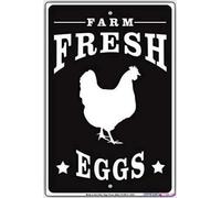 JINKAIRUI Cartello stradale di avvertimento fattoria uova fresche vendute qui pollo agricoltori mercato cartello decorazione cortile ufficio per esterni e interni 20,3 x 30,5 cm