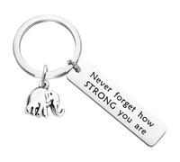 JINQIGG Portachiavi a forma di elefante in metallo realizzato con simbolo di saggezza, affermazione positiva per amici, familiari, amici, regalo portachiavi, A, Taglia unica