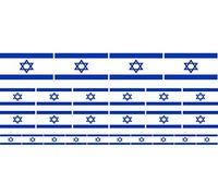 JINTORA Adesivi Auto Israele - Liscio - 12x 33x20mm - 4X 51x31mm+10x 20x12mm 26 Pezzo Set - Adesivi per Auto autoadesivi - Tuning Esterni - Sticker Decorativi Resistenti all’Acqua per Carrozzeria