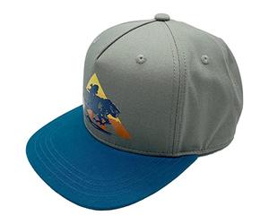 JINX Horizon Forbidden West Aloy Rides Berretto da baseball con chiusura a scatto, grigio, taglia adulto, Grigio, taglia unica