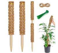 JINYJIA 2 Pezzi Supporto per Piante,40 cm Sostegno per Piante Rampicanti,Bastone per Piante Rampicanti,Tutore per Piante,Tutore Piante,Muschio Palo Totem per Piante da Rampicante Estensione