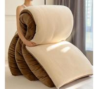 JINYOU Piumino con pile color latte, collezione di biancheria da letto invernale spessa e soffice che include un caldo piumone for l'autunno e l'inverno(C,150 * 200cm 2.5kg)