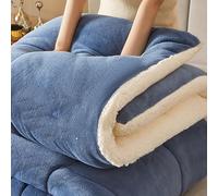 JINYOU Trapunta invernale double-face, soffice velluto di latte, anima in cashmere di agnello, calda e morbida trapunta for il freddo e l'uso domestico(D,200x230cm 5kg)