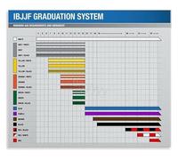 Jiu Jitsu Belt Hierarchy Informative Poster Canvas Painting Wall Art for Fight Gym or Apartment Decor(Framed,16x24inch(40x60cm))