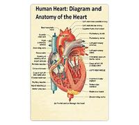JIUFOTK Cartelli in metallo con diagramma e anatomia del cuore, in metallo, con conoscenza cardiologica, poster retrò, guida di riferimento per cardiologo, decorazione da parete, per clinica, ufficio