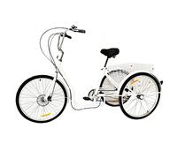 jiumxliu Bicicletta a tre ruote da 20 pollici per adulti citybike freni, portata massima 110 kg, ideale per le donne City Bike per città, piste ciclabili e tutti i tipi di strade