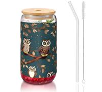 JIUTY Bicchieri con stampa di gufi magici con coperchio e cannuccia di vetro, 1 tazza di vetro da 473,6 ml, bicchieri da birra e caffè
