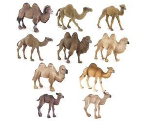 Jiuvaso Cammello Figurina Statua Modellino Giocattolo Dromedario Realistico per Studio Della Fauna Desertica in PVC Adatta a Progetti Scolastici Diorami Collezione Decorazione Scrivania